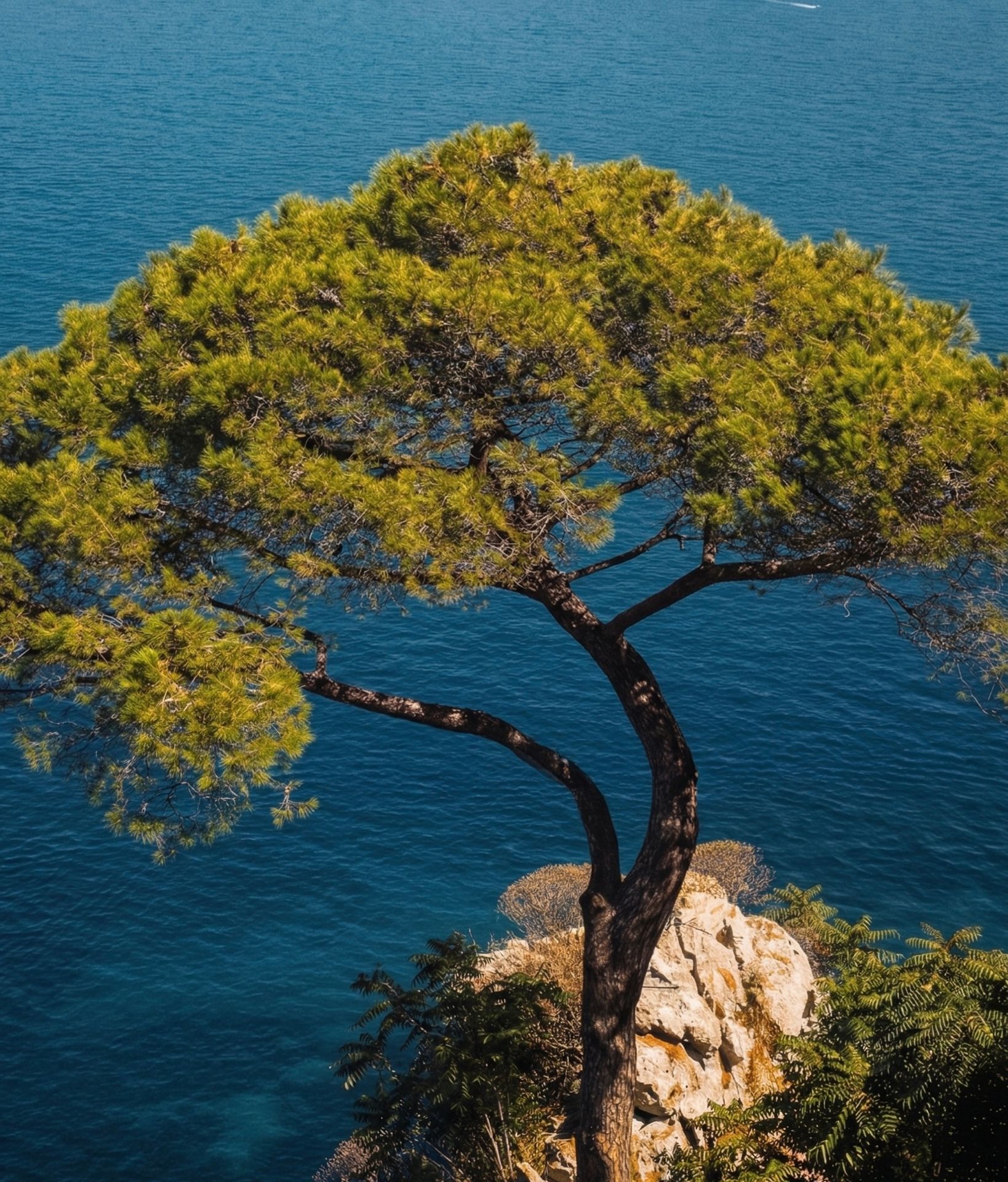 Côte d'Azur